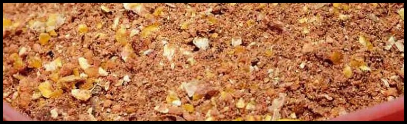 krmivo na ryby chytil